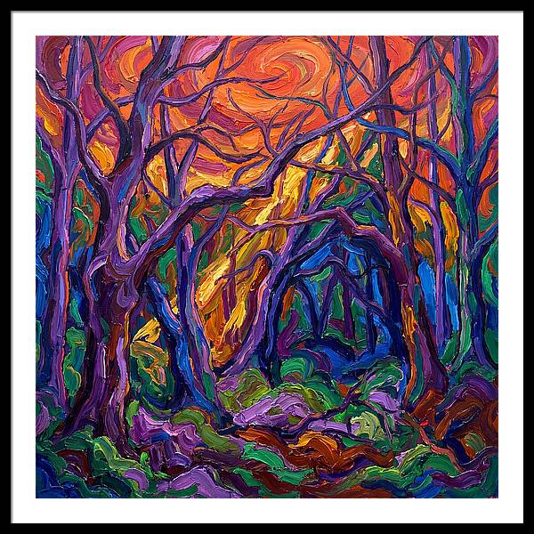 Deep Forest Dreams