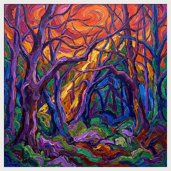 Deep Forest Dreams