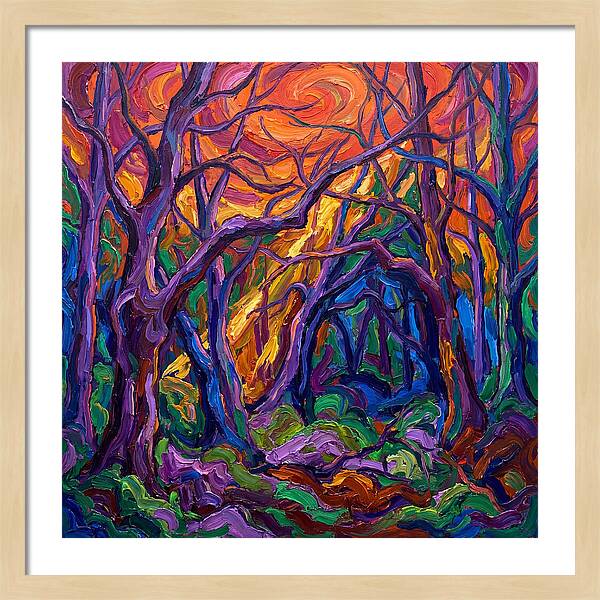Deep Forest Dreams