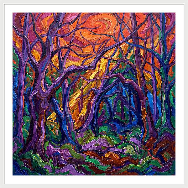 Deep Forest Dreams