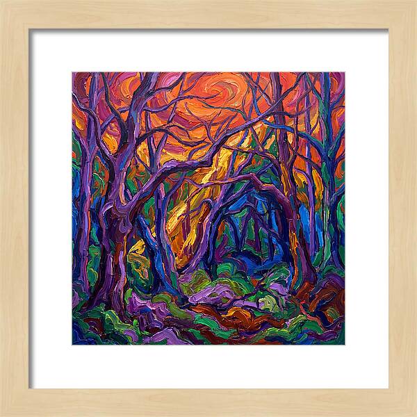 Deep Forest Dreams