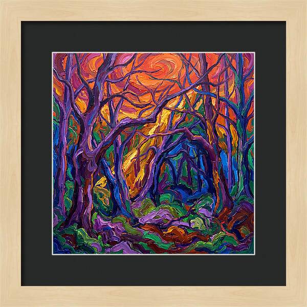 Deep Forest Dreams