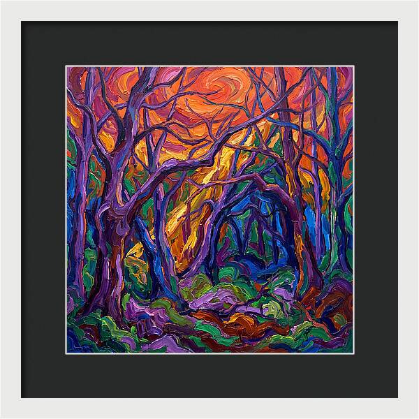 Deep Forest Dreams