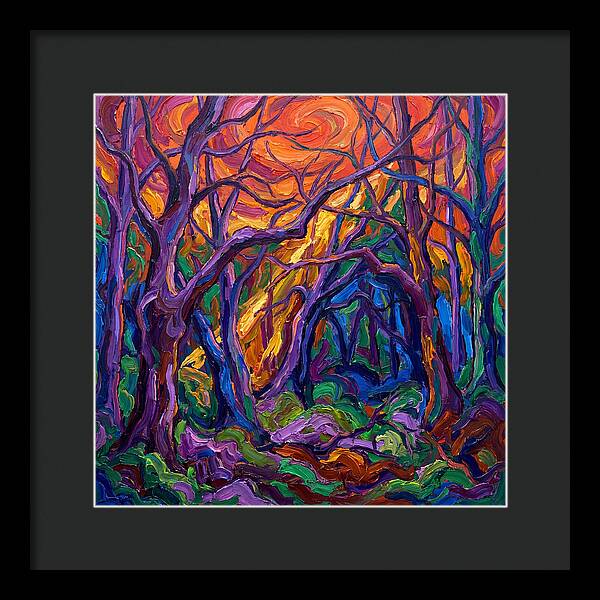 Deep Forest Dreams