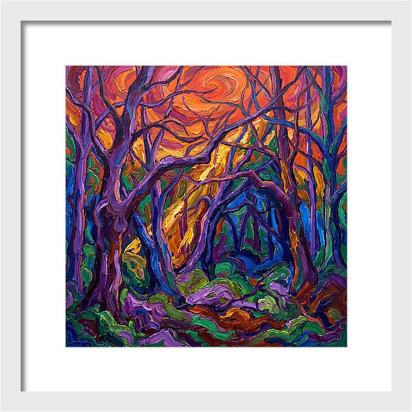 Deep Forest Dreams