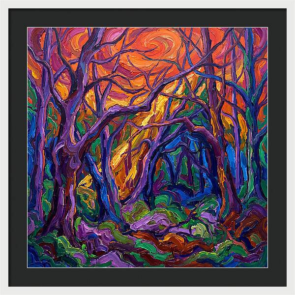 Deep Forest Dreams