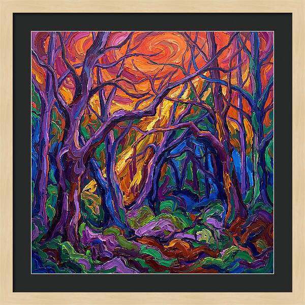 Deep Forest Dreams