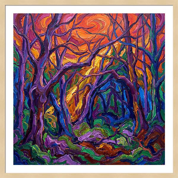 Deep Forest Dreams