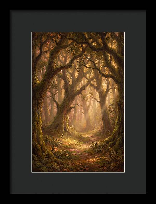 Deep Forest Pathway