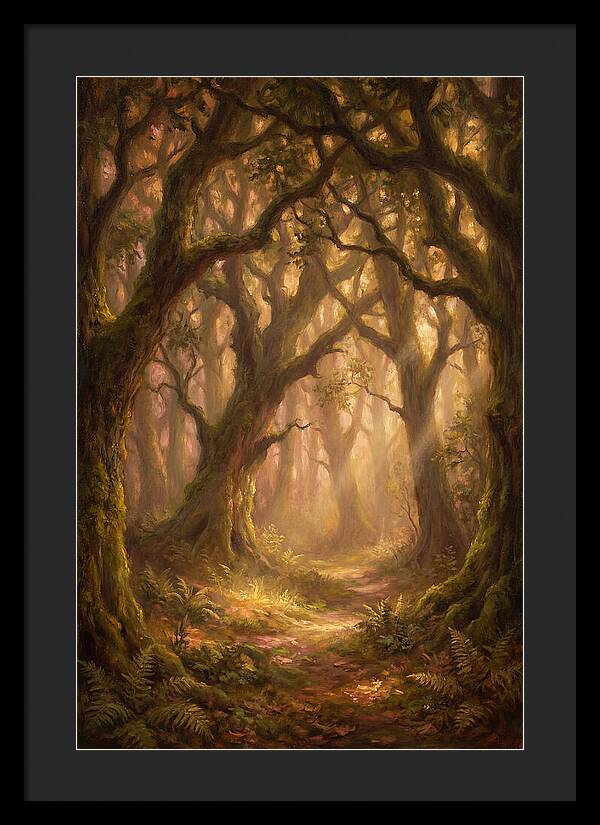 Deep Forest Pathway