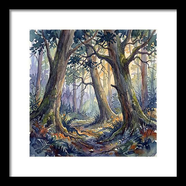 Deep Forest Serenity