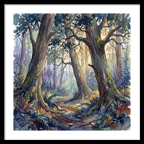 Deep Forest Serenity