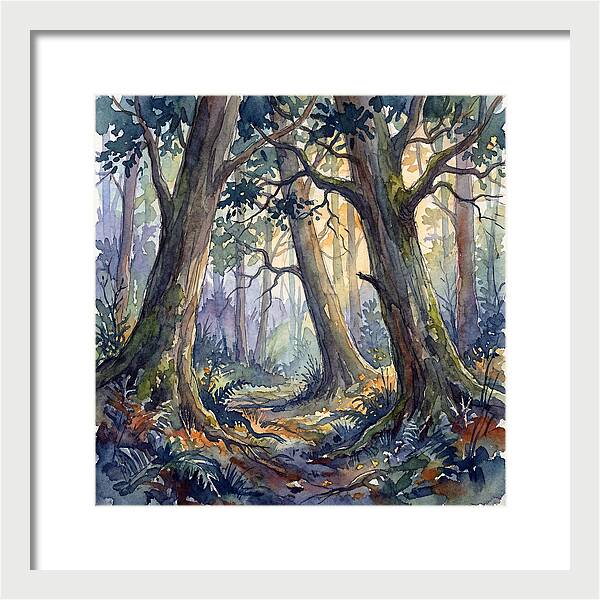 Deep Forest Serenity