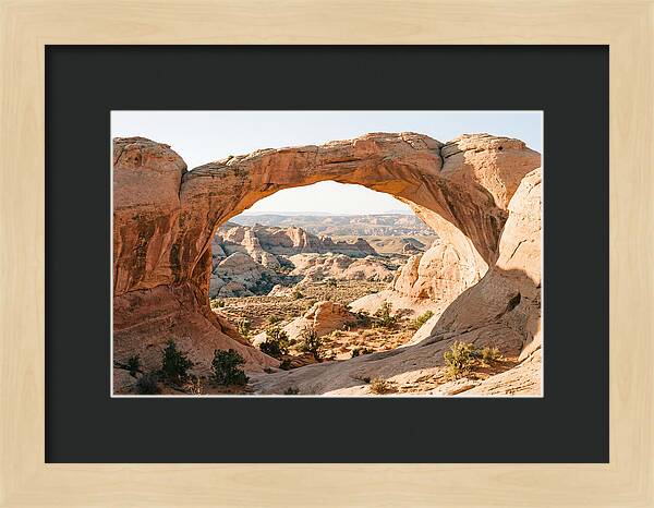 Delicate Arch Framed By Nature