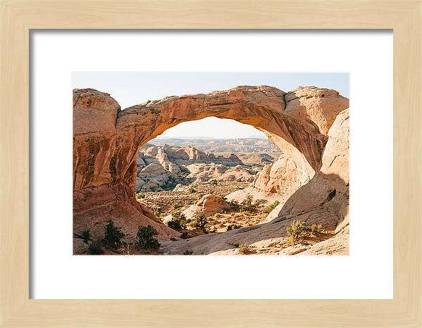 Delicate Arch Framed By Nature