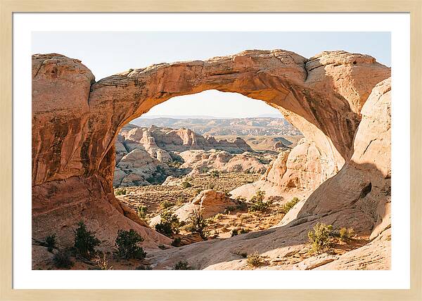 Delicate Arch Framed By Nature