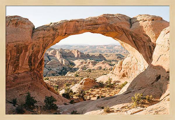 Delicate Arch Framed By Nature