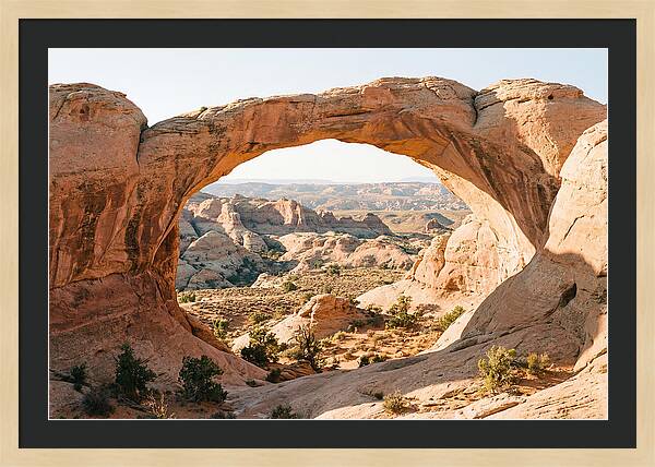 Delicate Arch Framed By Nature