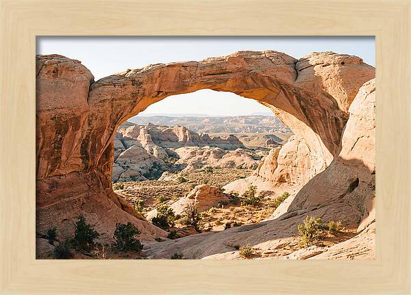 Delicate Arch Framed By Nature