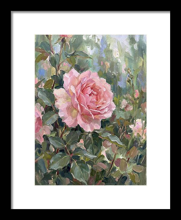 Delicate Beauty Of A Rose