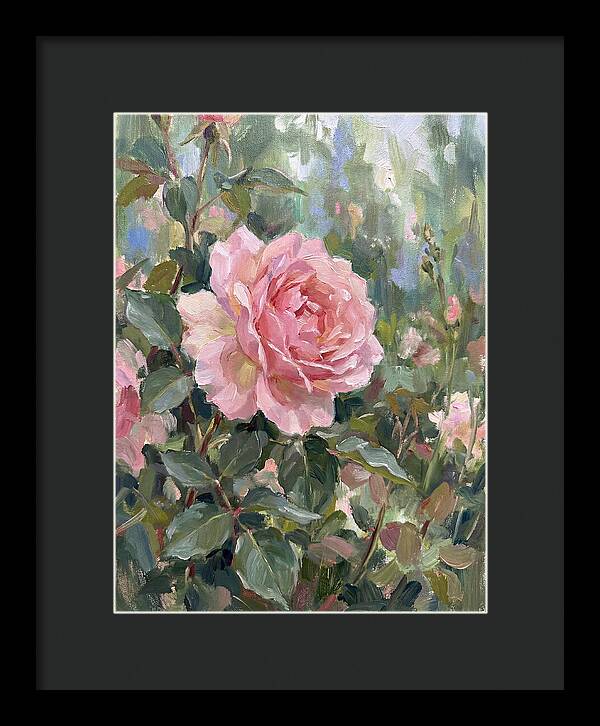 Delicate Beauty Of A Rose