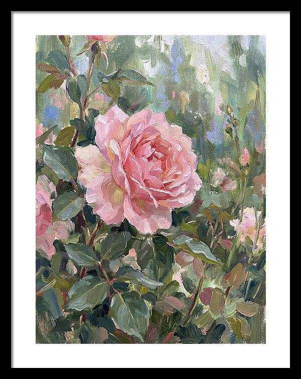 Delicate Beauty Of A Rose