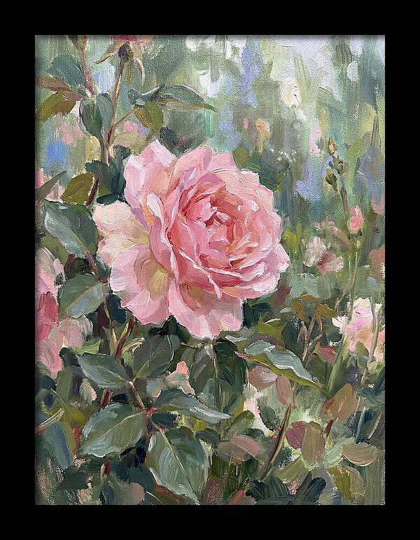 Delicate Beauty Of A Rose