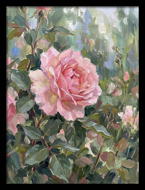 Delicate Beauty Of A Rose