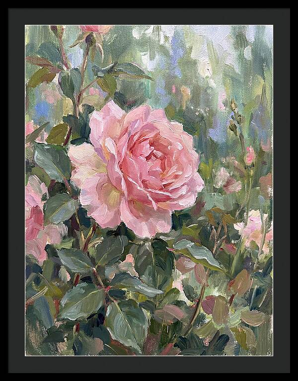 Delicate Beauty Of A Rose
