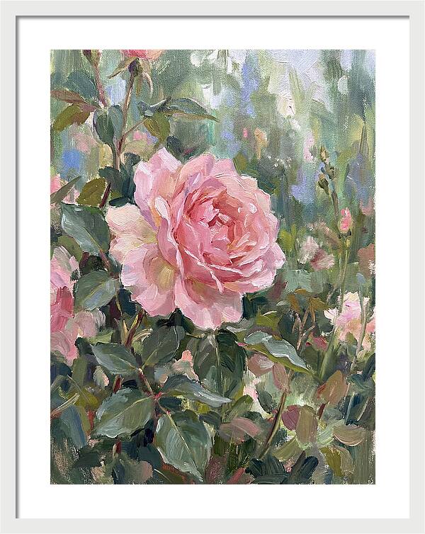 Delicate Beauty Of A Rose
