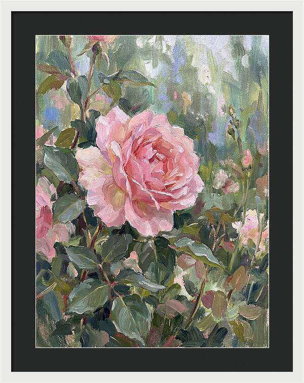 Delicate Beauty Of A Rose