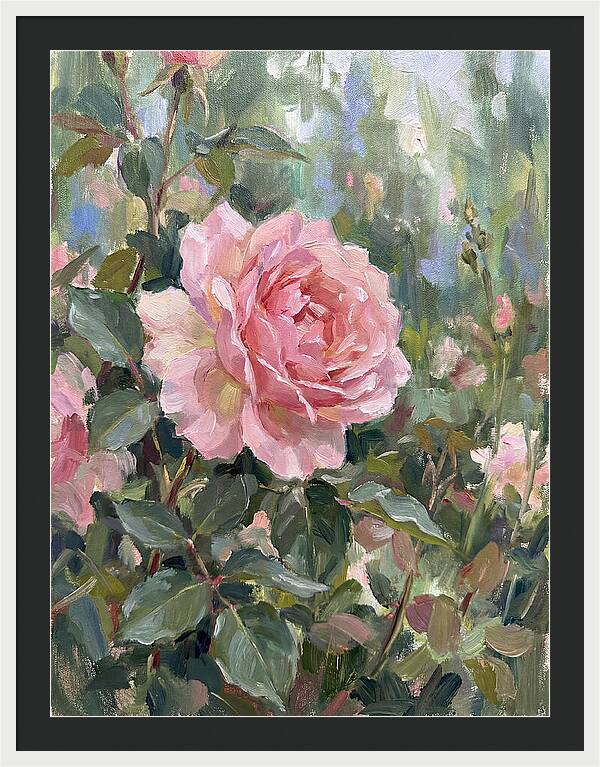 Delicate Beauty Of A Rose
