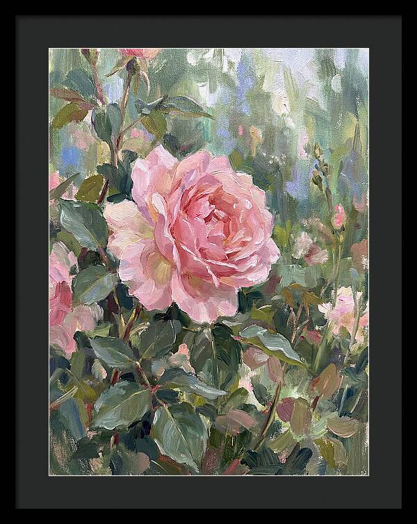 Delicate Beauty Of A Rose