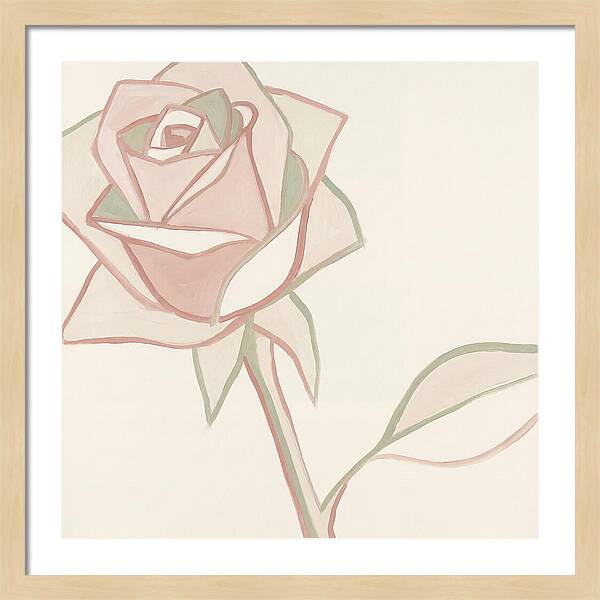 Delicate Beauty Of Pink Roses