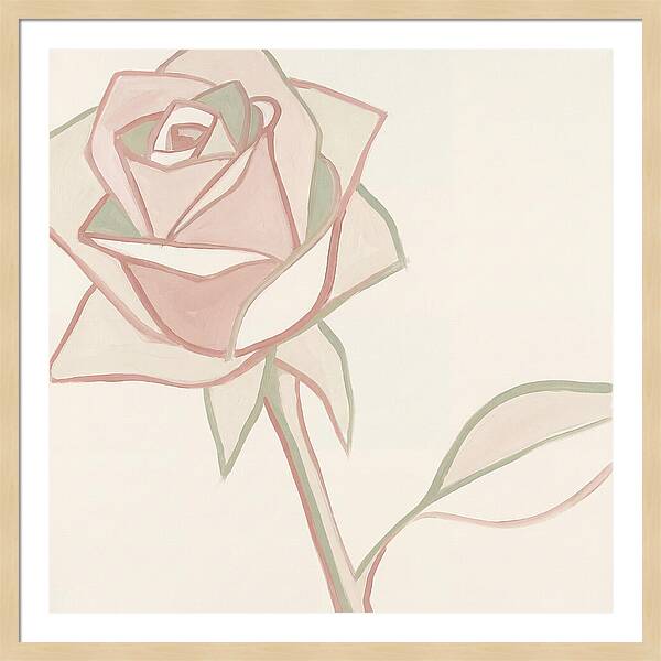 Delicate Beauty Of Pink Roses