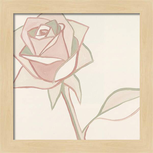 Delicate Beauty Of Pink Roses