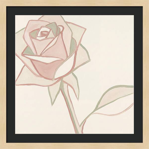 Delicate Beauty Of Pink Roses