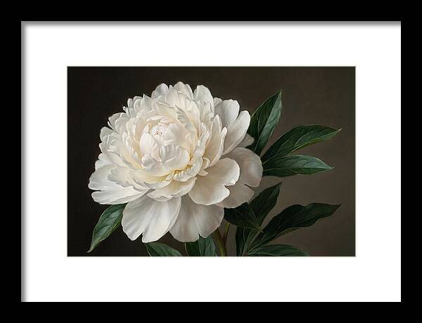 Delicate Beauty Of White Peonies
