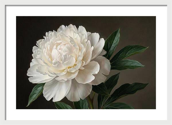 Delicate Beauty Of White Peonies