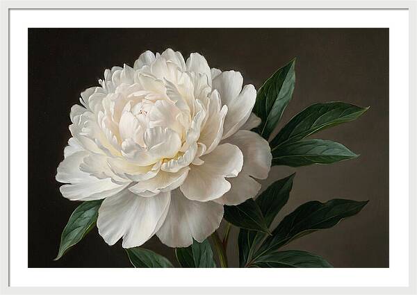 Delicate Beauty Of White Peonies
