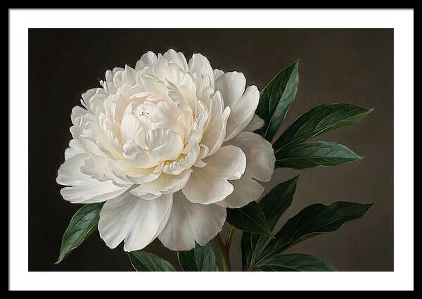 Delicate Beauty Of White Peonies