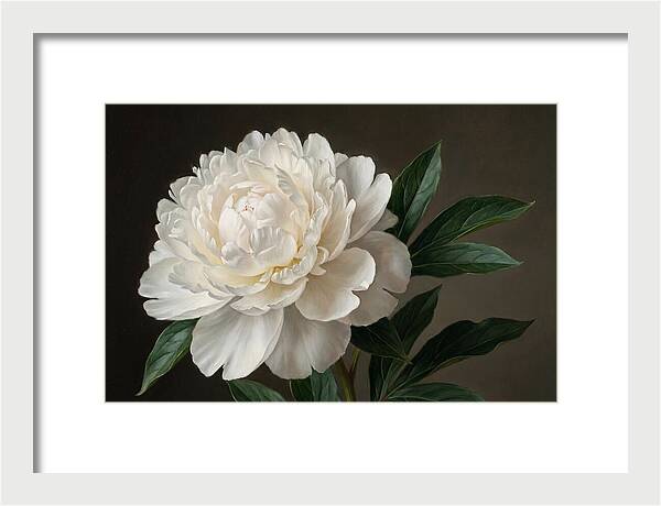Delicate Beauty Of White Peonies