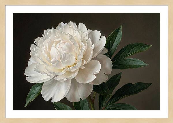 Delicate Beauty Of White Peonies
