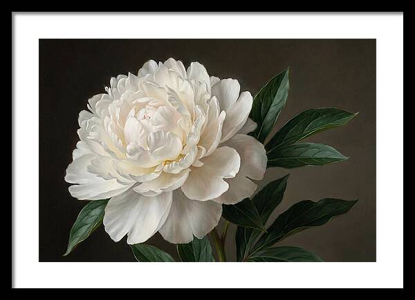 Delicate Beauty Of White Peonies