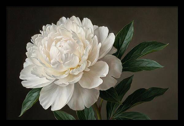 Delicate Beauty Of White Peonies