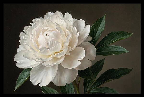 Delicate Beauty Of White Peonies