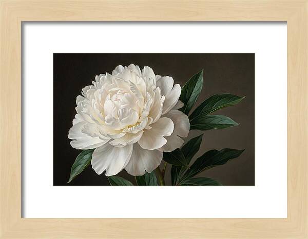 Delicate Beauty Of White Peonies