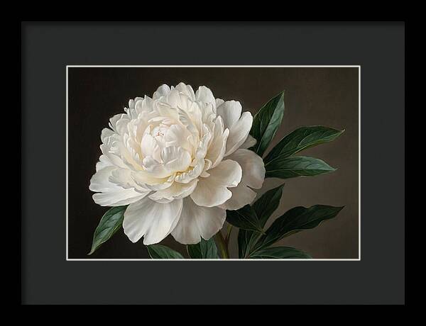 Delicate Beauty Of White Peonies