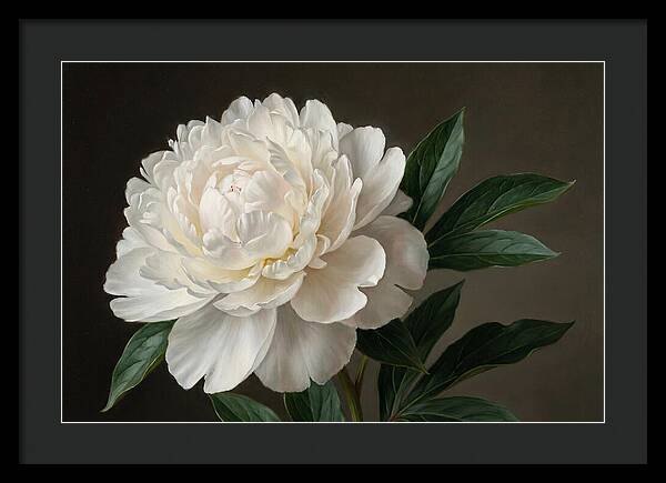 Delicate Beauty Of White Peonies