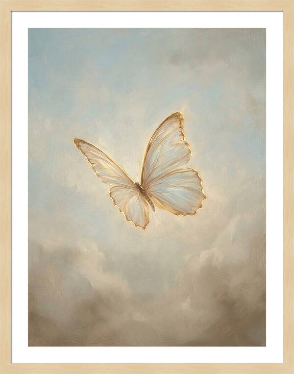 Delicate Butterfly In Flight